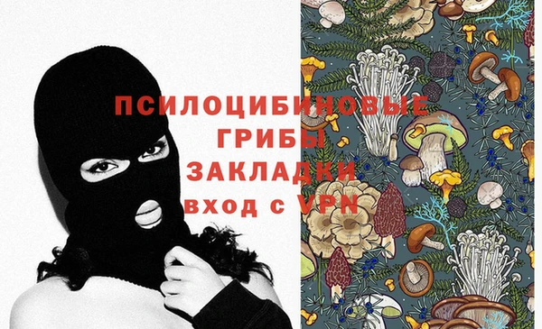 шишки Зеленодольск