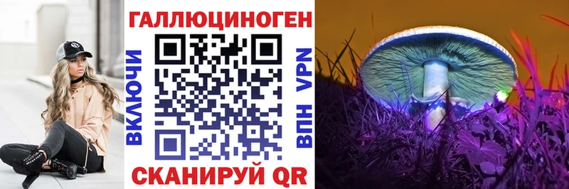 Псилоцибиновые грибы Psilocybine cubensis  Купить  Реутов 